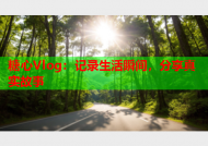 糖心Vlog：记录生活瞬间，分享真实故事