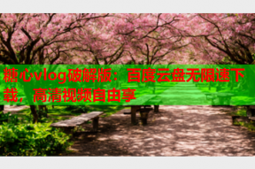 糖心vlog破解版：百度云盘无限速下载，高清视频自由享