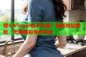 糖心Vlog小包子引退？最新地址揭秘，无限精彩等你开启