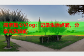 探索糖心Vlog：记录生活点滴，分享真实瞬间