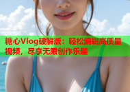 糖心Vlog破解版：轻松编辑高质量视频，尽享无限创作乐趣