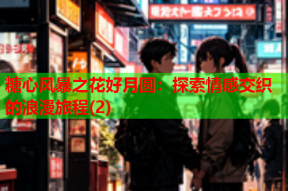 糖心风暴之花好月圆：探索情感交织的浪漫旅程(2)