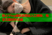 糖心Vlog破解版网站入口揭秘，畅享无限创作乐趣