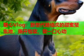 糖心Vlog：新世代糖伯虎的甜蜜聚集地，撕开包装，尝一口心动