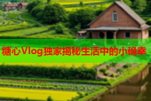 糖心Vlog独家揭秘生活中的小确幸