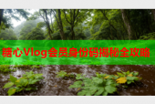糖心Vlog会员身份码揭秘全攻略