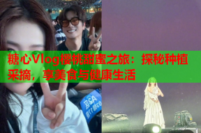 糖心Vlog樱桃甜蜜之旅：探秘种植采摘，享美食与健康生活