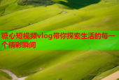糖心短视频vlog带你探索生活的每一个精彩瞬间
