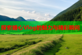探索糖心Vlog的魅力与精彩瞬间