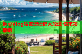 糖心Vlog独家邀请码大放送 快来领取吧