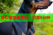 糖心蛋完美煮制：只需6分钟