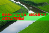 探索糖心Vlog传媒：创意视频与社交互动的完美结合