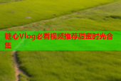 糖心Vlog必看视频推荐甜蜜时光合集