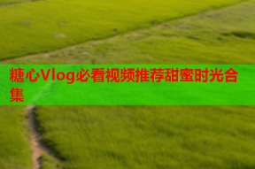 糖心Vlog必看视频推荐甜蜜时光合集