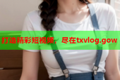 打造精彩短视频，尽在txvlog.gow