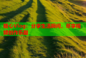 糖心Vlog：分享生活瞬间，尽享视频创作乐趣