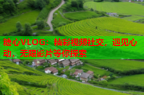 糖心VLOG：精彩视频社交，遇见心动，无限影片等你探索