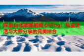 探索台北娜娜的糖心Vlog：私密生活与大胆分享的完美结合