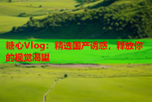 糖心Vlog：精选国产诱惑，释放你的视觉渴望