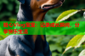 糖心Vlog宝宝：记录成长瞬间，分享快乐生活