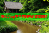 糖心Vlog下午茶时光的甜蜜探险