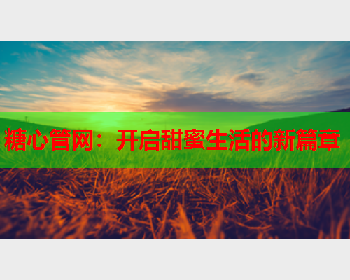糖心管网：开启甜蜜生活的新篇章  第2张