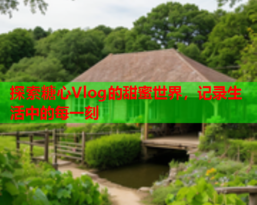 探索糖心Vlog的甜蜜世界，记录生活中的每一刻  第2张