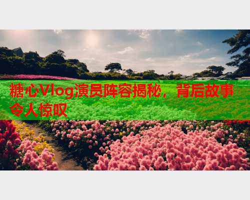糖心Vlog演员阵容揭秘，背后故事令人惊叹  第2张