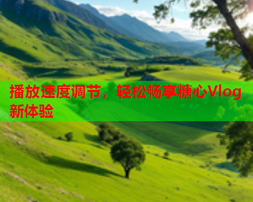 播放速度调节，轻松畅享糖心Vlog新体验  第1张