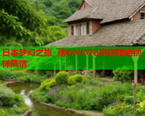 日本梦幻之旅 糖心VLOG带你领略别样风情  第1张