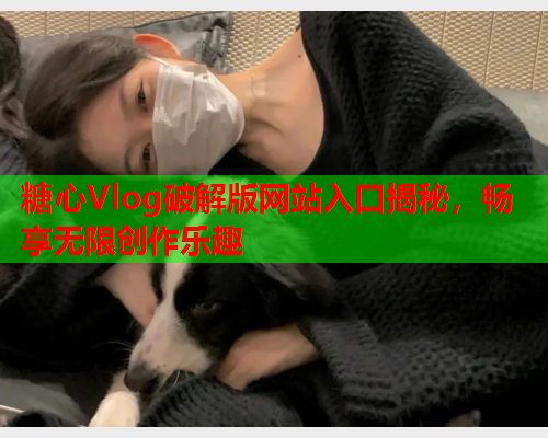 糖心Vlog破解版网站入口揭秘，畅享无限创作乐趣  第1张