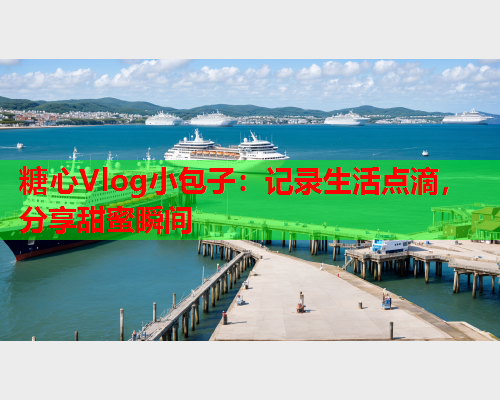 糖心Vlog小包子：记录生活点滴，分享甜蜜瞬间  第1张