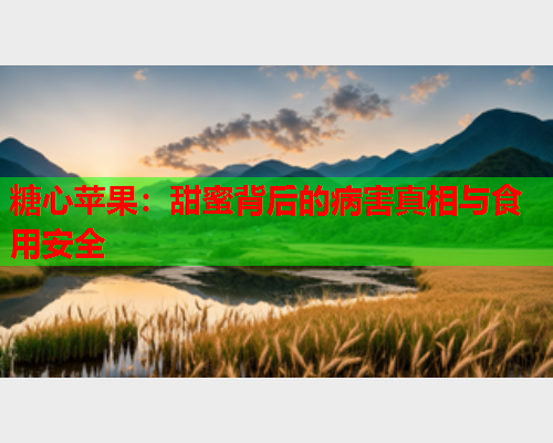 糖心苹果：甜蜜背后的病害真相与食用安全  第2张