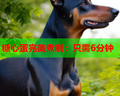 糖心蛋完美煮制：只需6分钟  第1张