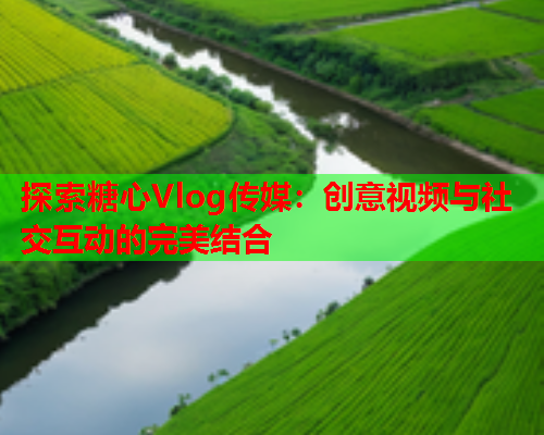 探索糖心Vlog传媒：创意视频与社交互动的完美结合  第1张